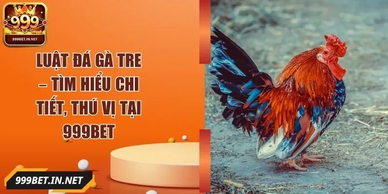 luat-da-ga-tre-anh-dai-dien